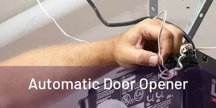  Automatic Door Opener 